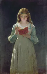 Der Leser